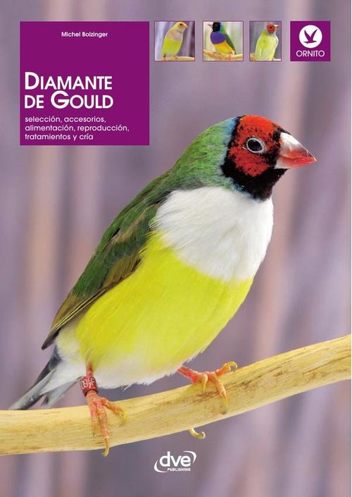 Diamante de gould