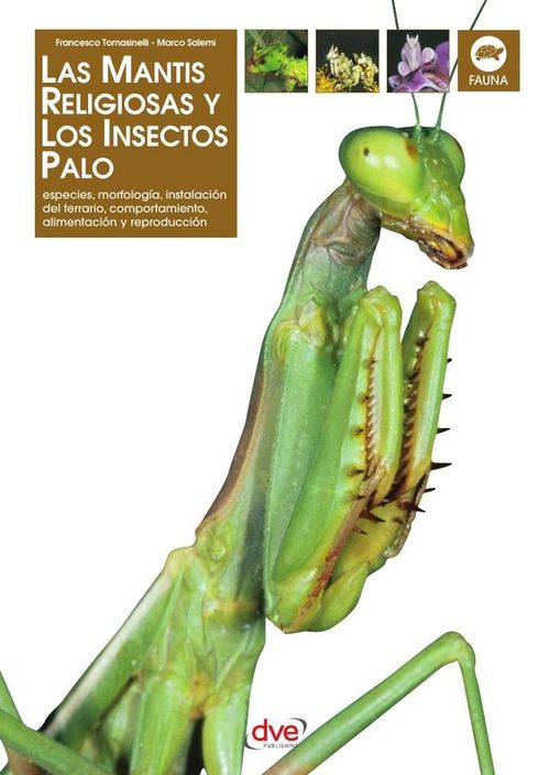 Las Mantis religiosa y los insectos palo