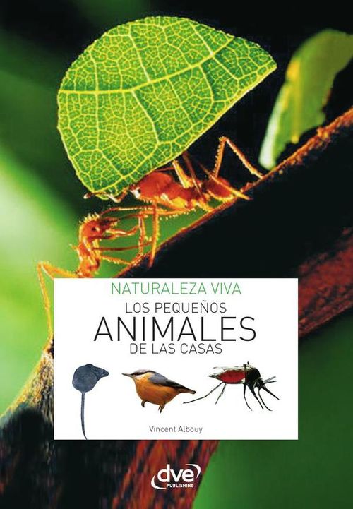 Los pequenos animales de la casa
