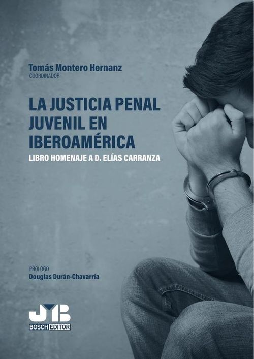 La justicia penal juvenil en Iberoamerica