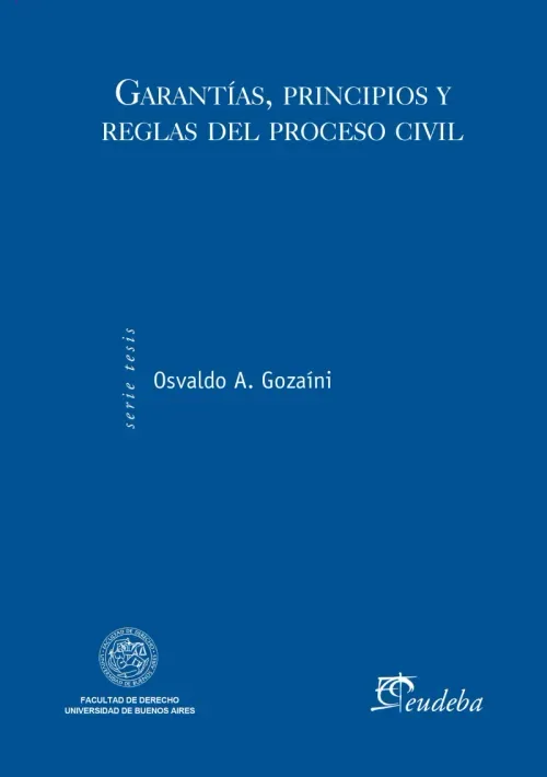Garantias principios y reglas del proceso civil