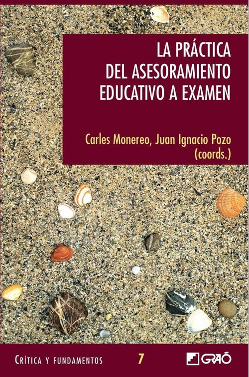 La practica del asesoramiento educativo a examen