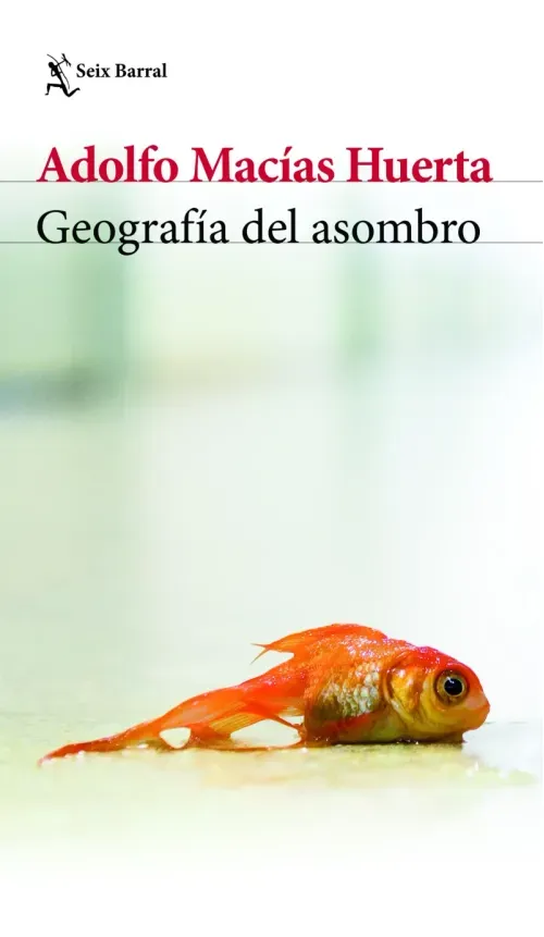 Geografia del asombro