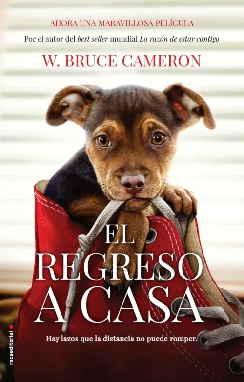 La razon de estar contigo El regreso a casa 1 - El regreso a casa