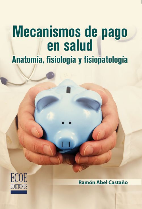 Mecanismos de pago en salud
