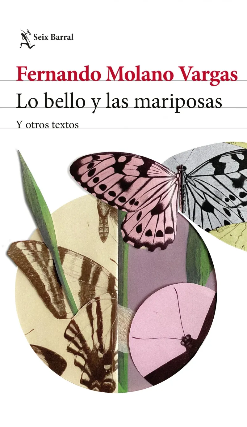 Lo bello y las mariposas