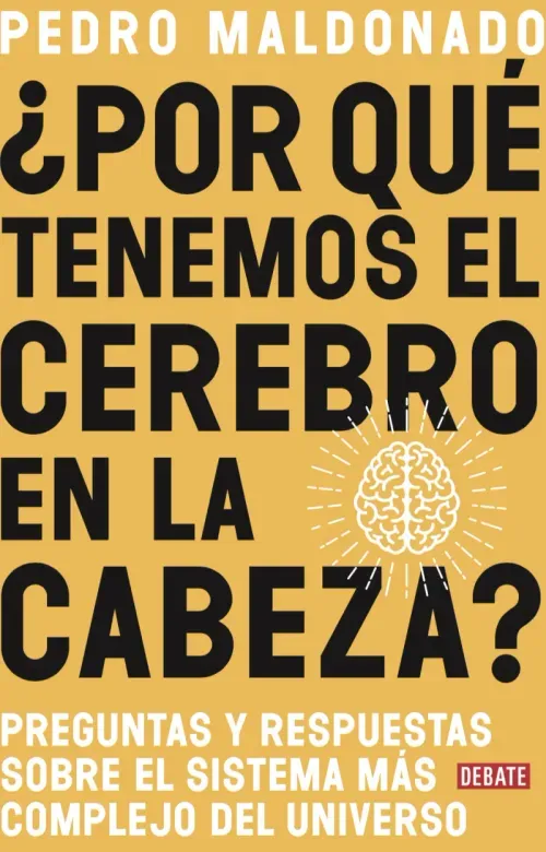 Por que tenemos el cerebro en la cabeza