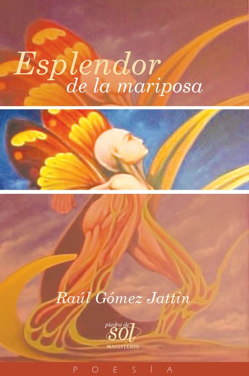 Esplendor de la mariposa