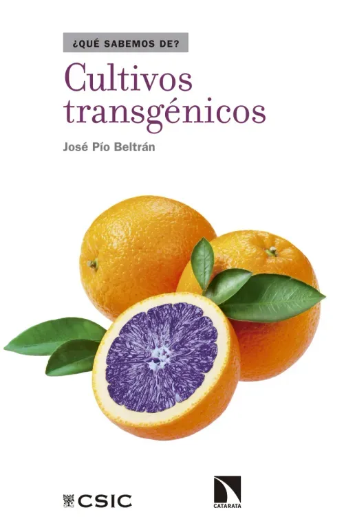 Cultivos transgenicos