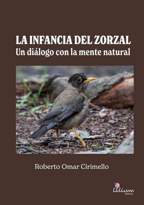 La infancia del Zorzal