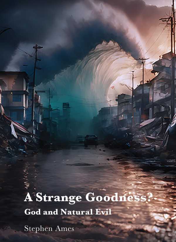 bw-a-strange-goodness-atf-press-9781923006652