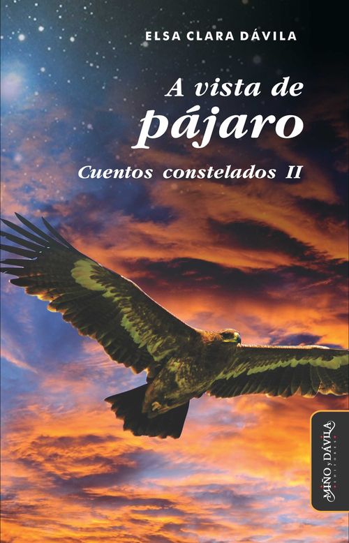 A vista de pajaro Cuentos constelados II
