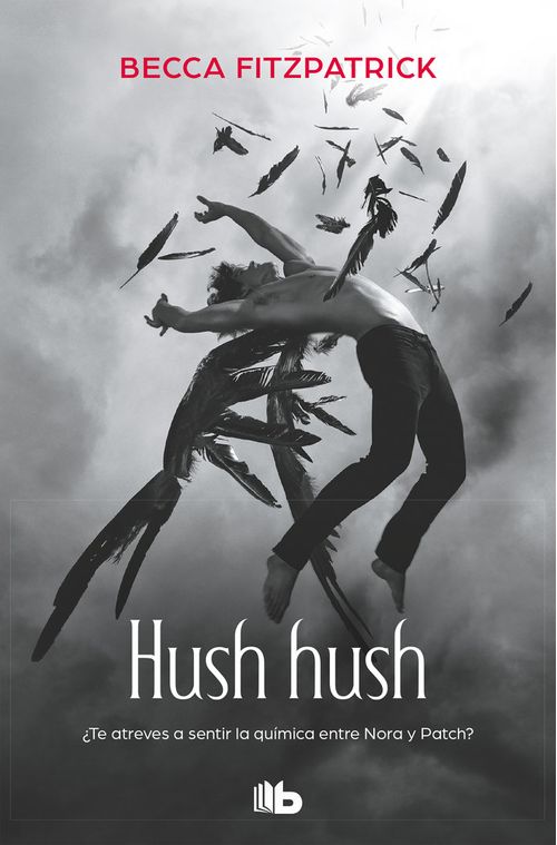 Hush Hush Saga Hush Hush 1