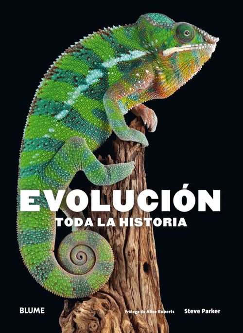 Evolucion Toda la historia 2018