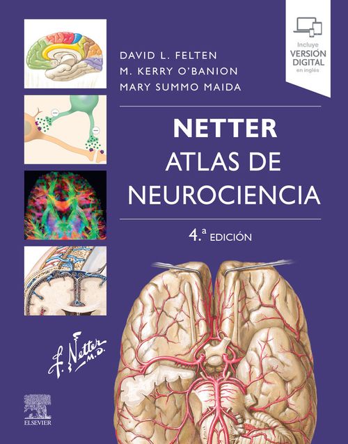 NETTER ATLAS DE NEUROCIENCIA 4ª ED
