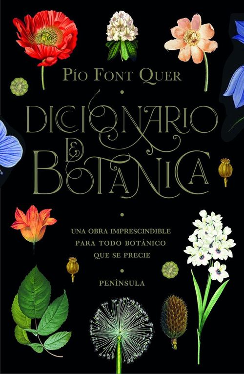 Diccionario de botanica