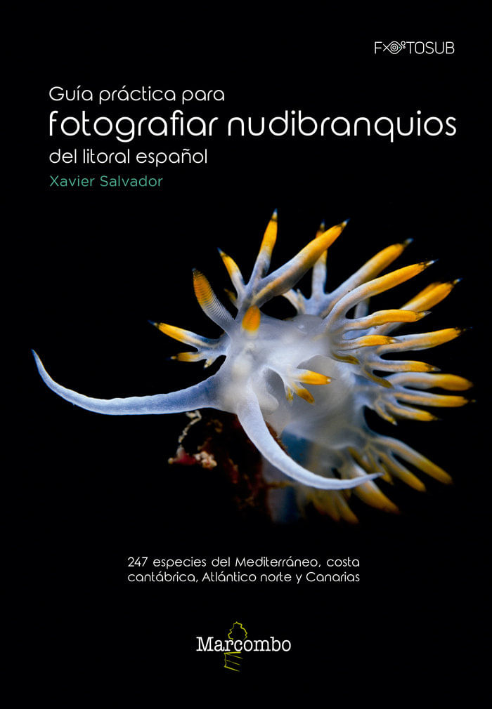 Guia practica para fotografiar nudibranquios del litoral espanol