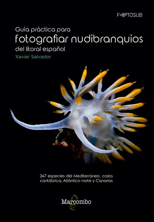 Guia practica para fotografiar nudibranquios del litoral espanol