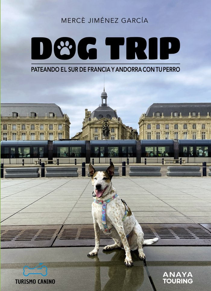Dog trip Pateando el sur de Francia y Andorra con tu perro