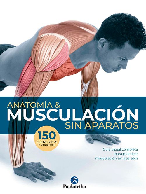 Anatomia  Musculacion sin aparatos