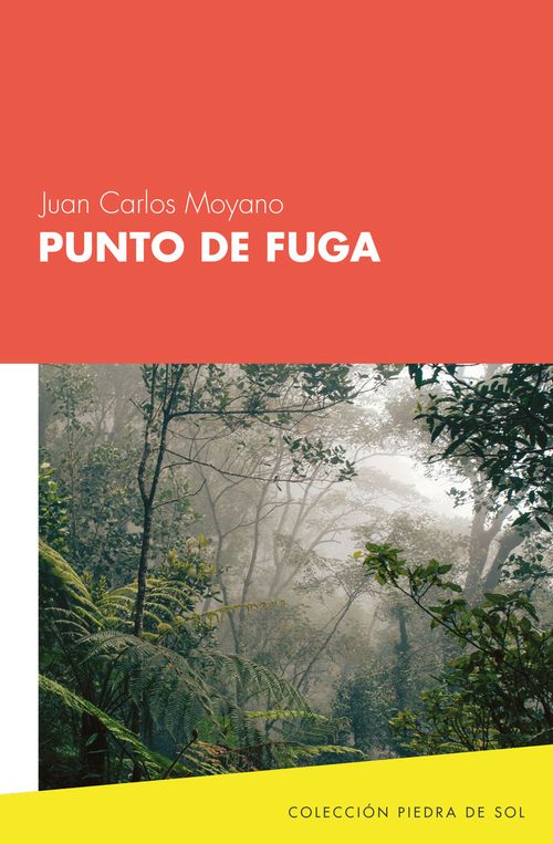Punto de fuga