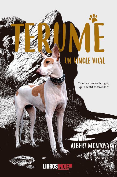 Terume Un vincle vital