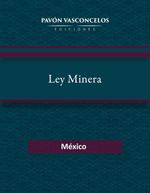 bw-ley-minera-pavn-vasconcelos-ediciones-9798335850797