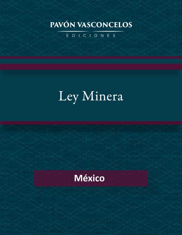 bw-ley-minera-pavn-vasconcelos-ediciones-9798335850797