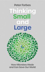 bw-thinking-small-and-large-icon-books-9781837731718