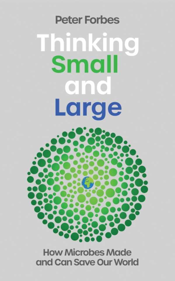 bw-thinking-small-and-large-icon-books-9781837731718