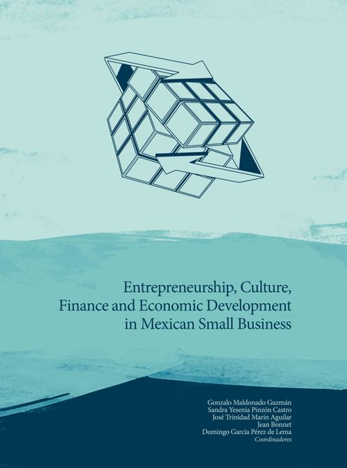 Entrepreneurship culture finance and economic development in mexican small business