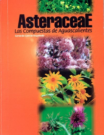 Asteraceae