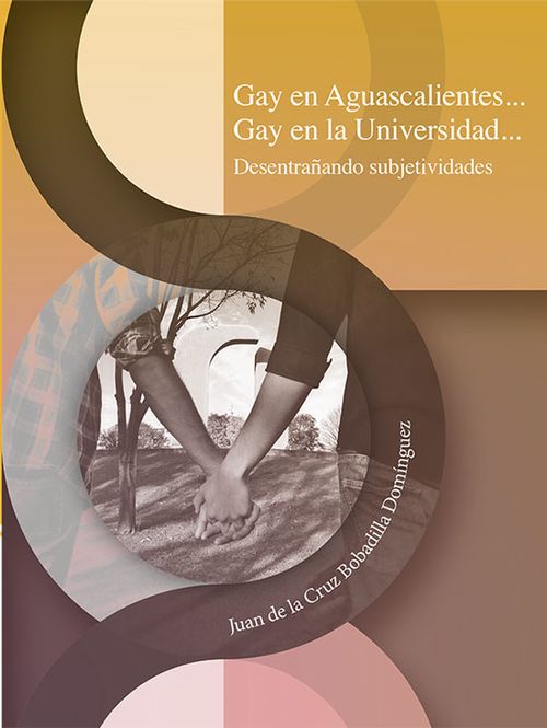 Gay en Aguascalientes? gay en la universidad? desentrañando subjetividades