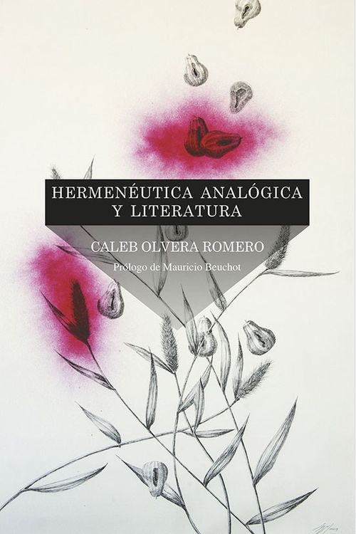 Hermenéutica analógica y literatura