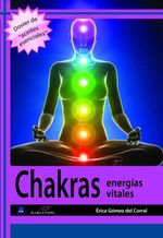 bw-chakras-energiacuteas-vitales-pampia-grupo-editor-9789876480635