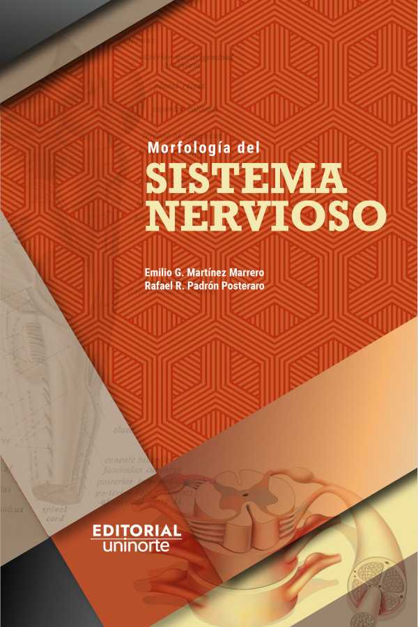 bw-morfologiacutea-del-sistema-nervioso-u-del-norte-editorial-9789587896954