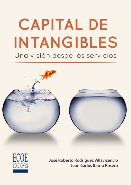 Capital de intangibles