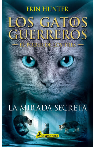 La mirada secreta