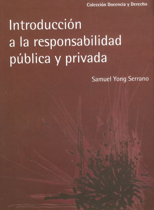 Introducción a la responsabilidad pública y privada Primera edición