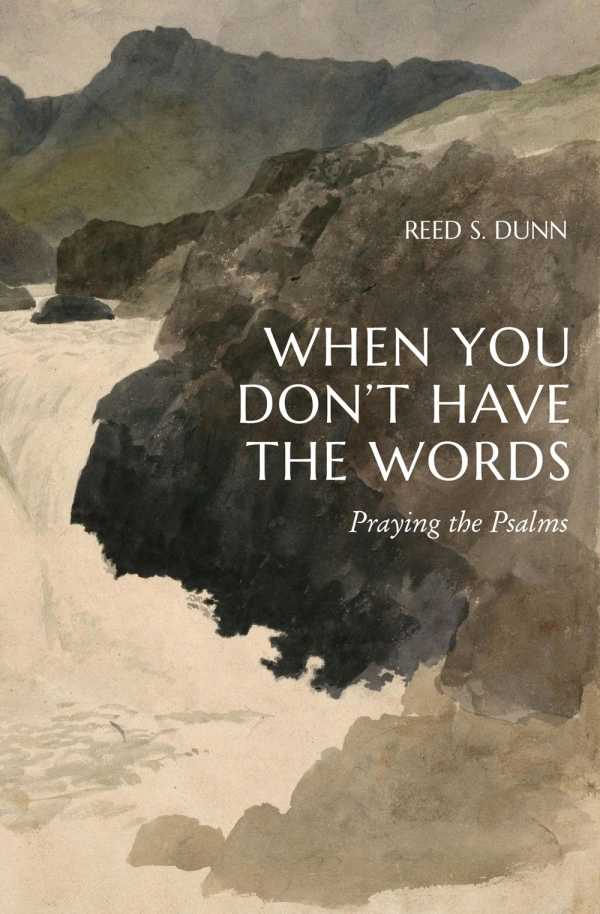 bw-when-you-dont-have-the-words-lexham-press-9781683598077