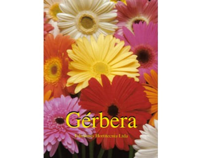 Gérbera