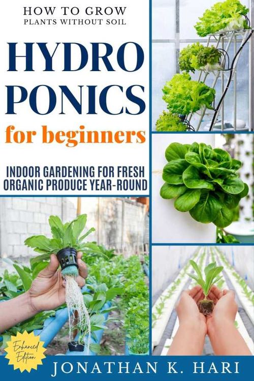 Hydroponics for Beginners