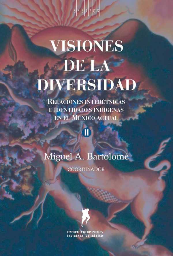 bw-visiones-de-la-diversidad-instituto-nacional-de-antropologa-e-historia-9786072634411