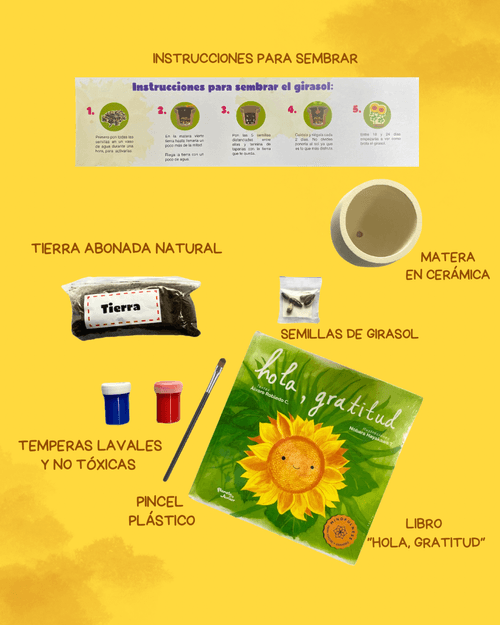 Caja literaria Hola gratitud