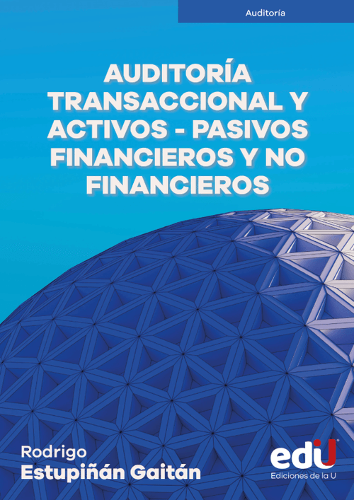Auditoría transaccional y activos  pasivos financieros y no financieros