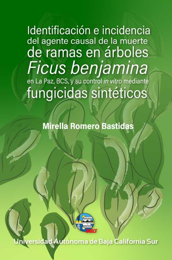 bw-identificacioacuten-e-incidencia-del-agente-causal-de-la-muerte-de-ramas-en-aacuterboles-universidad-autnoma-de-baja-california-sur-9786078654284