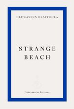 bw-strange-beach-fitzcarraldo-editions-9781804271568