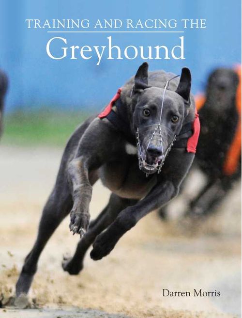 Training and Racing the Greyhound