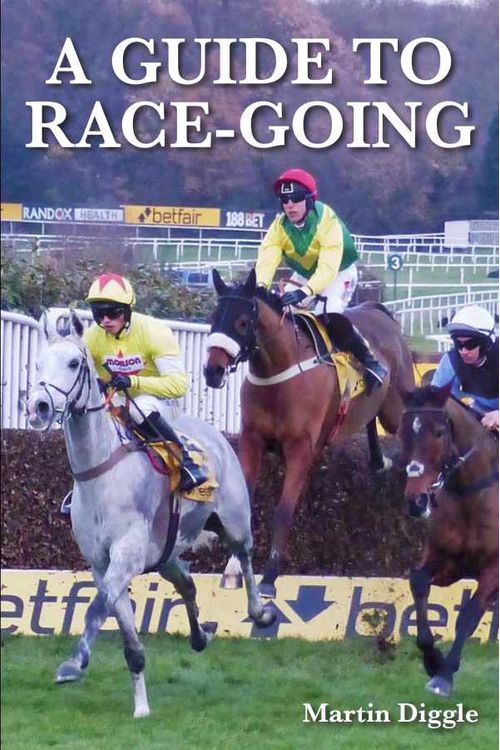 Guide to RaceGoing