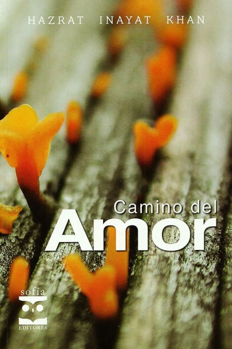 Camino del amor